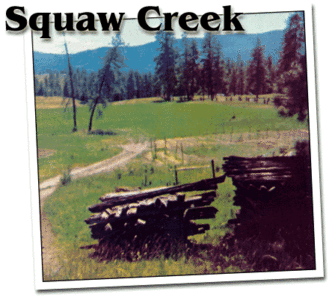 Squaw Creek: Our Washington State Homestead Image